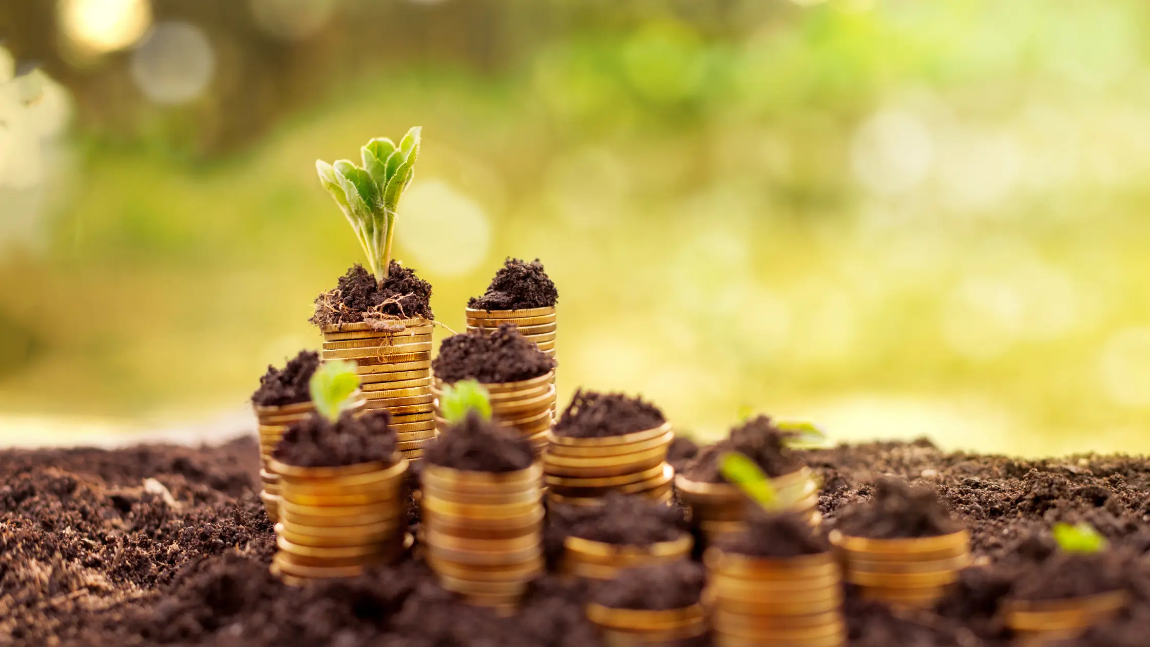 Unlock Your Financial Freedom: Choosing the Right Savings Account in South Africa